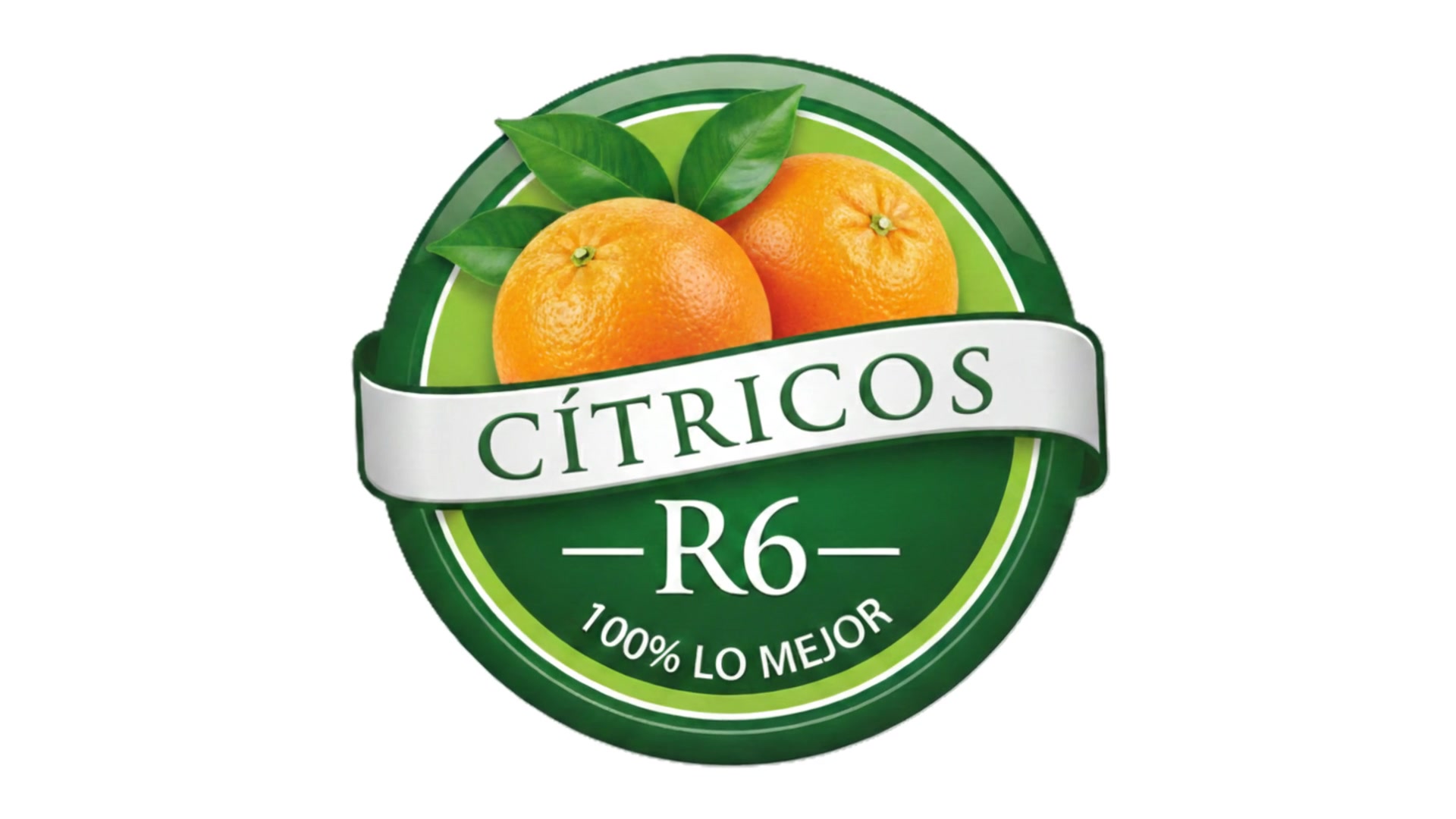 Video Corporativo R6