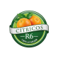 Logo Img